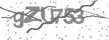 visual captcha